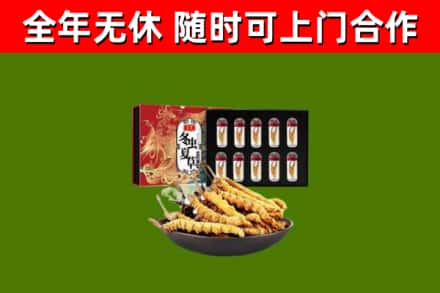 孙吴烟酒回收冬虫夏草礼盒.jpg